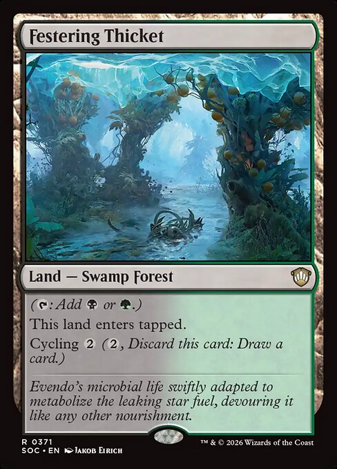 Festering Thicket #371 from Secrets of Strixhaven Commander