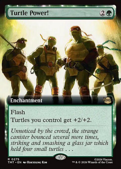 Turtle Power! #275 from Teenage Mutant Ninja Turtles