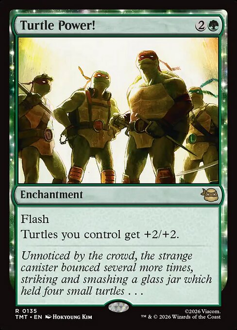 Turtle Power! #135 from Teenage Mutant Ninja Turtles