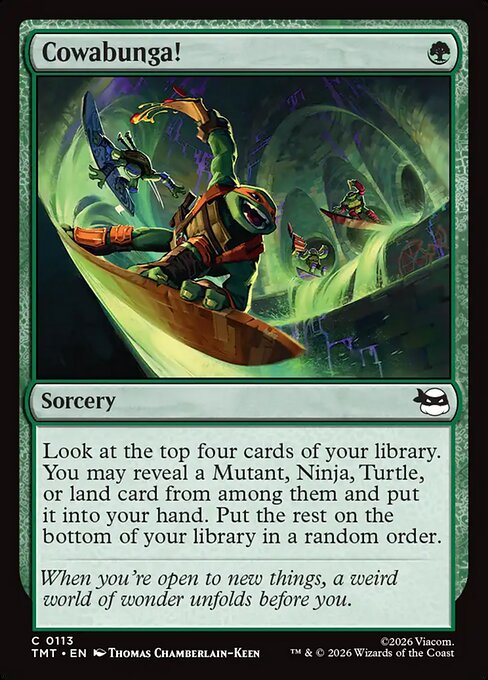 Cowabunga! #113 from Teenage Mutant Ninja Turtles